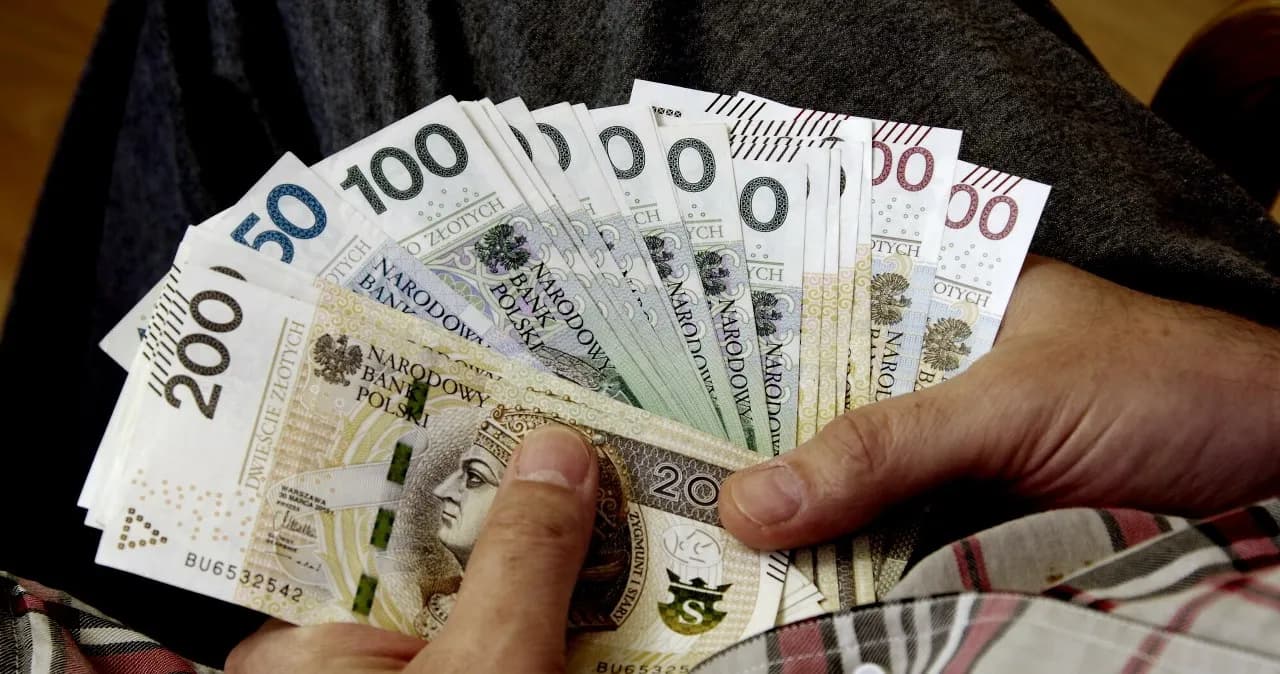 Czy za staż dostaje się pieniądze? Sprawdź, ile możesz otrzymać!