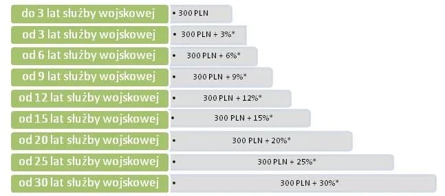 Ile zarabia żołnierz zawodowy w WOT? Zaskakujące stawki i dodatki